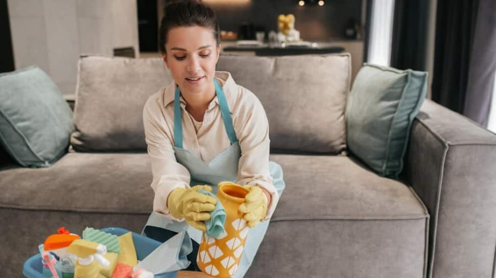 DIY Cleaning Hacks: 7 Quick And Effective Ways To Deep Clean Your Home Before Navratri