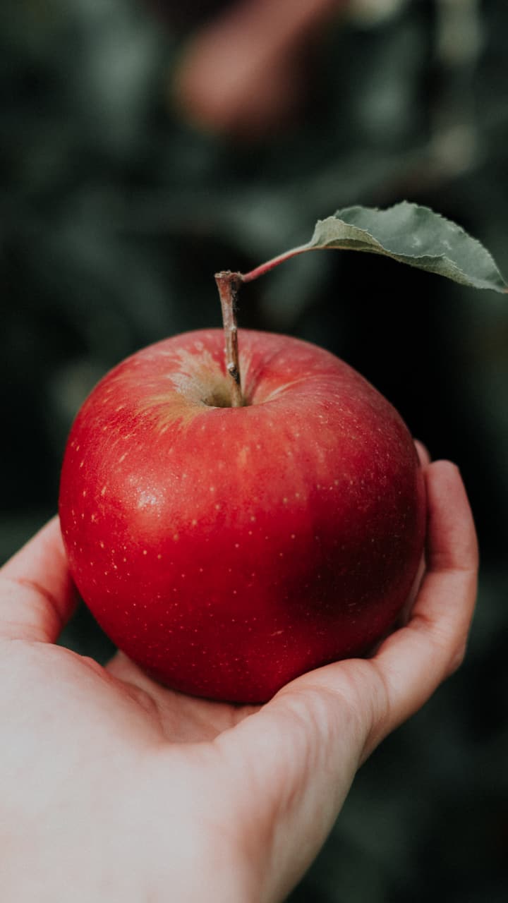 The Surprising Health Benefits of Apples