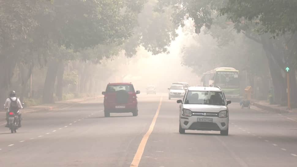 Delhi Breathes Easier As Air Quality Improves To &#039;Moderate&#039; Category, AQI At 190