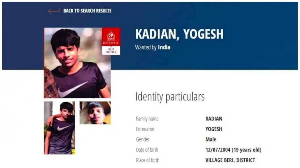 Interpol&#039;s Notice For Yogesh Kadian, 19 Yr Old Haryana Gangster Who Fled To US Using Fake Passport