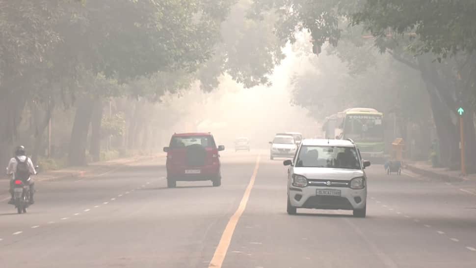 Delhi Chokes On ‘Very Poor’ Air For Fourth Day, Morning Walkers Feel The Pinch