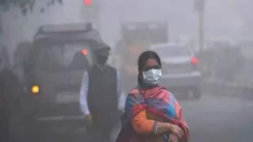 Delhi Air Pollution: 10 Tips To Protect Yourself From Pollution 