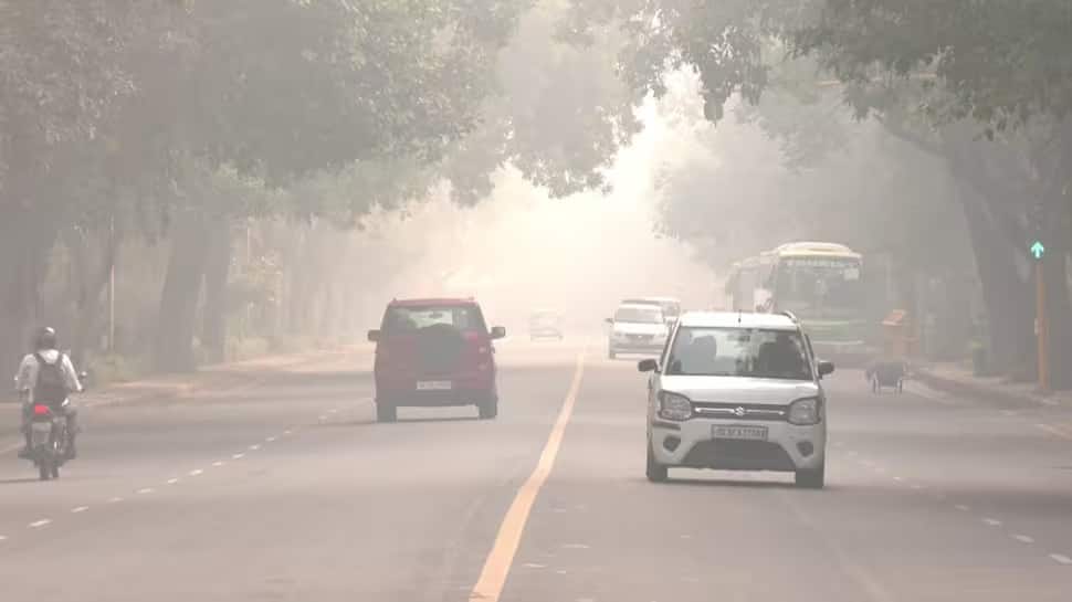 Delhi Pollution: GRAP 3 Implemented In Capital City, Bans BS3 Petrol &amp; BS4 Diesel Cars