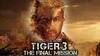 Tiger 3 | 12 November 2023