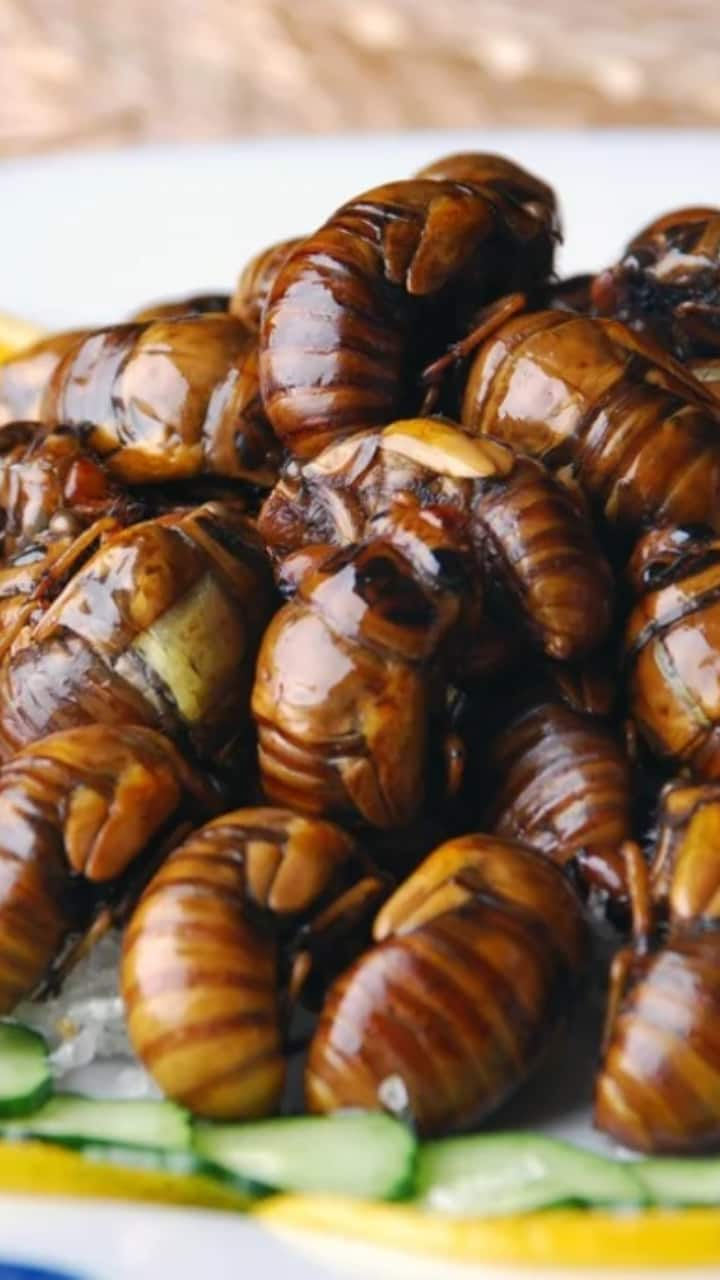 10 Countries Where Insects Are Consumed As Food