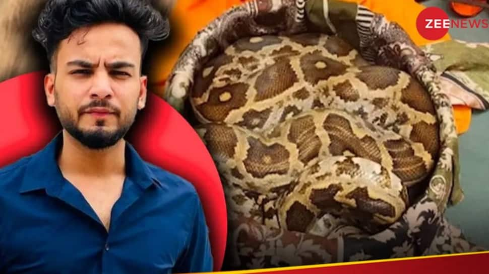 Trouble Mounting For Elvish Yadav? Noida Police Issues Notice To YouTuber In Snake Venom Case