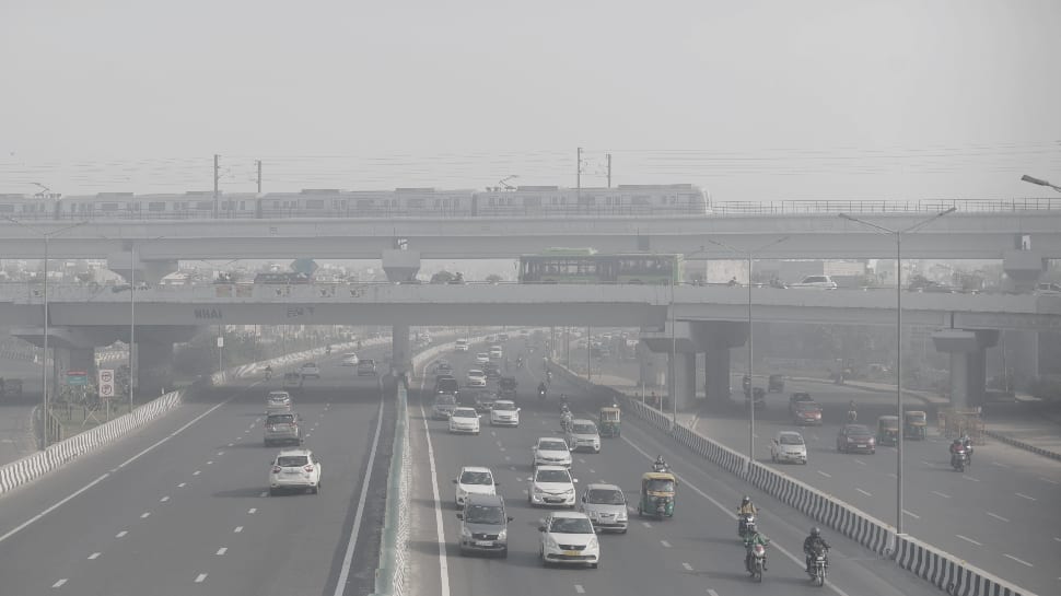 Delhi-NCR Air Pollution: From Air Purifying Plants To Special Curtains- Know How To Protect Yourself From The Harmful Toxins