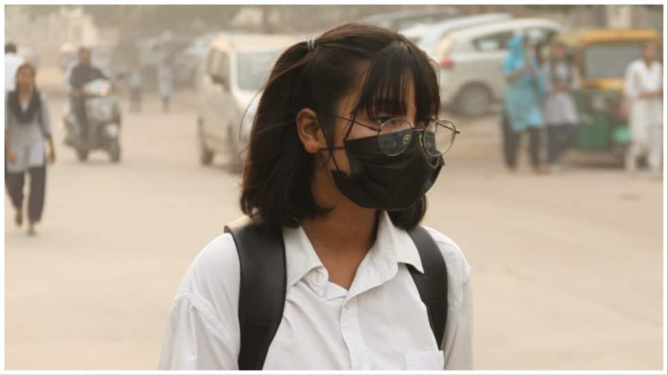 Health Ministry Releases Advisory On Air Pollution, Special Guidelines For School Children