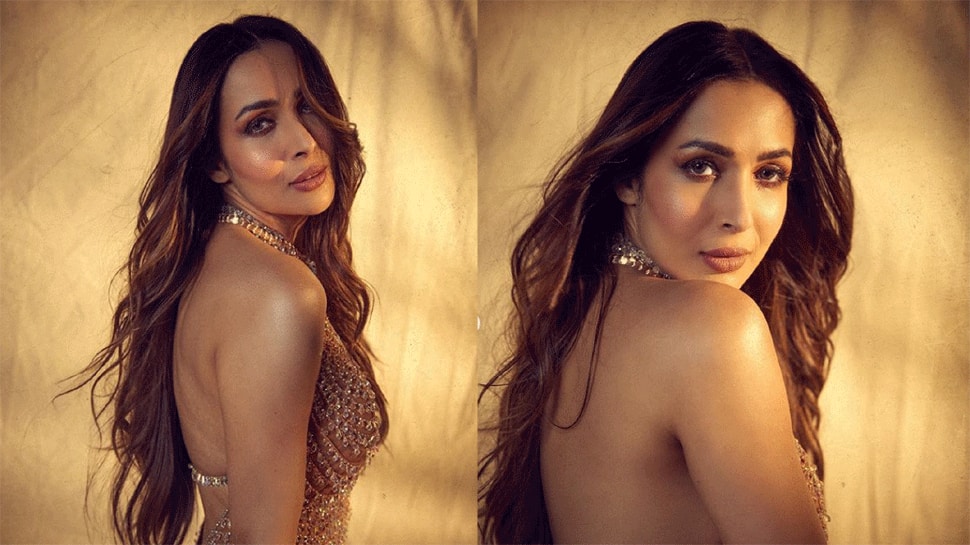 Malaika Arora Soars Mercury In Rs 2 Lakh Sheer Embellished Robe, Drops Alluring Photographs