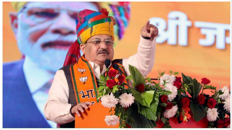 Rs 450 Subsidy On Gas Cylinders, Bond For New Born Girl Child: BJP Moves To Woo Women Voters In Rajasthan