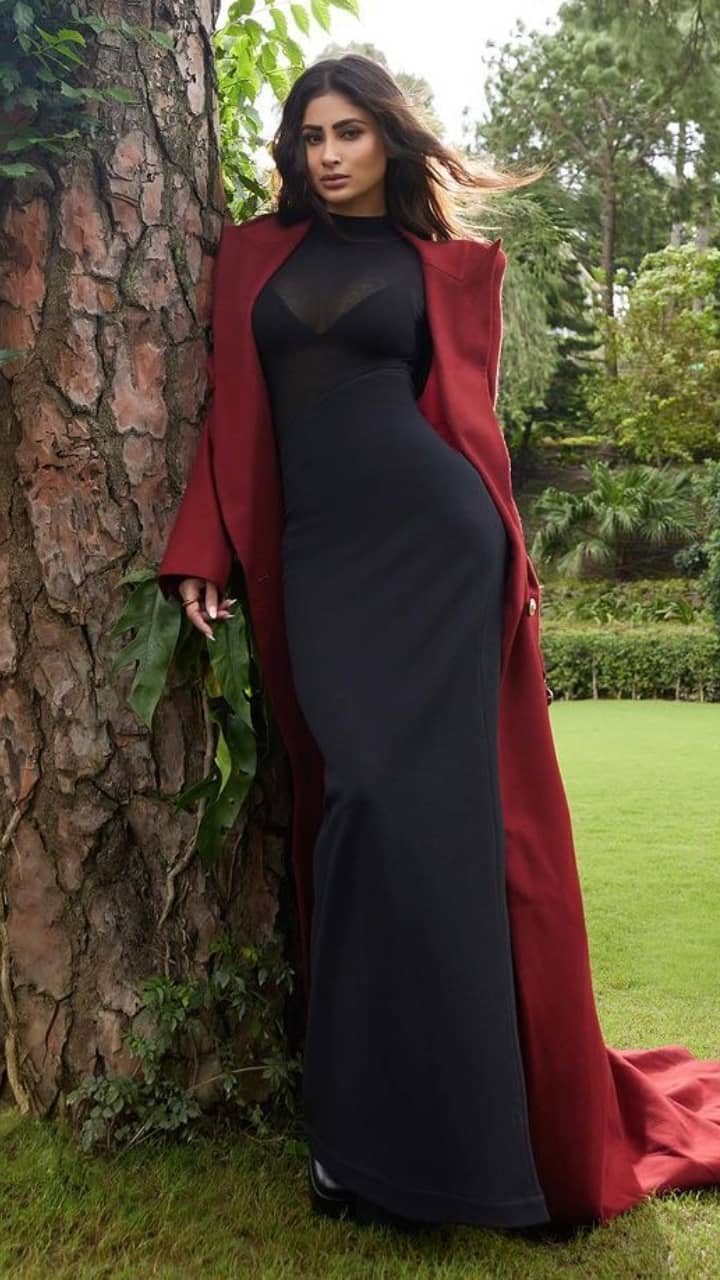 Buy Black Dresses for Women by SELVIA Online | Ajio.com