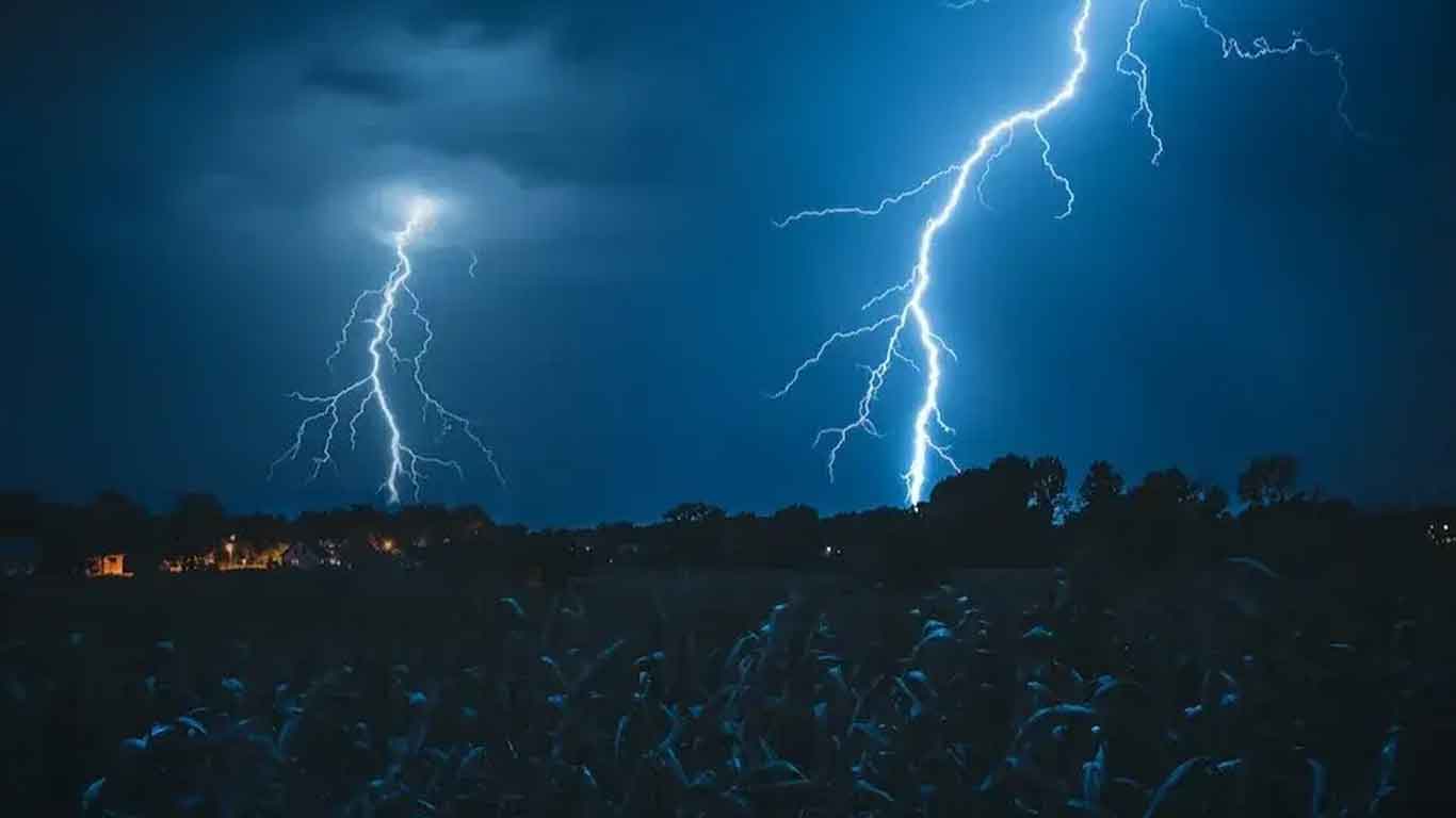 20 Killed In Lightning Strikes Amid Unseasonal Rains In Gujarat; Amit Shah Expresses Grief | India News
