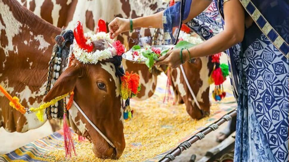 Controversy Amidst &#039;Cow Urine&#039; Comment - Know About South Indian Temple Where Cows and Bulls Are Worshiped