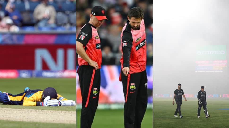 From Bee Attack To Immense Fog: Weird Reasons Behind Stoppage Of Play ...