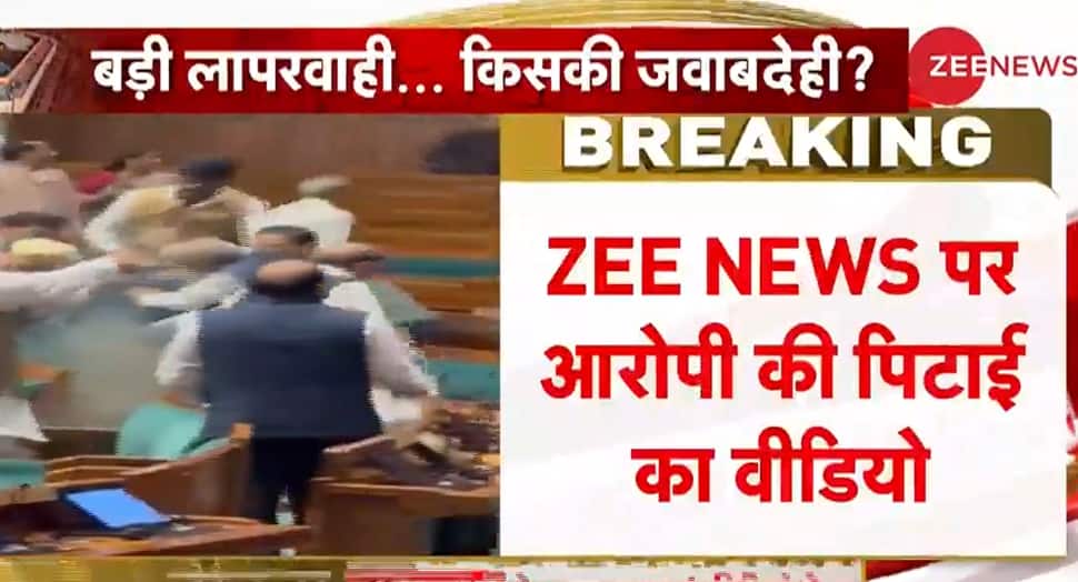 Watch: MPs Thrash Intruders After Security Of Lok Sabha Breached