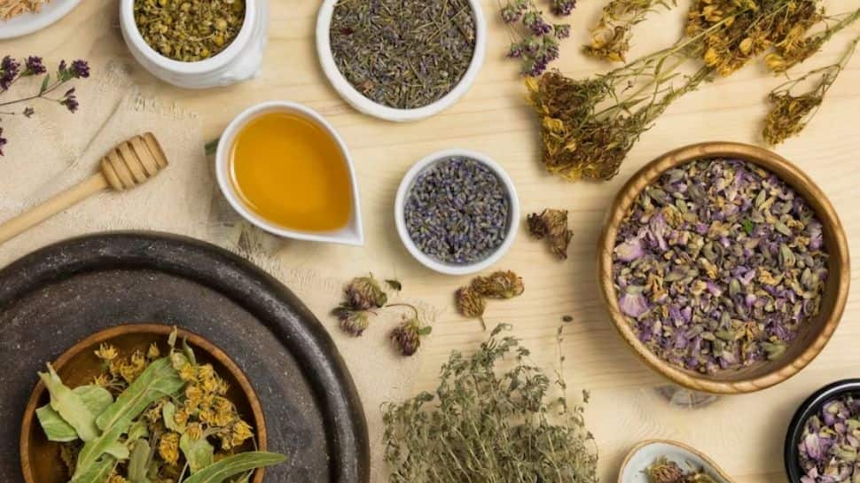 4 Ayurvedic Herbs To Boost Vitality, Stamina And Ignite Passion | India News
