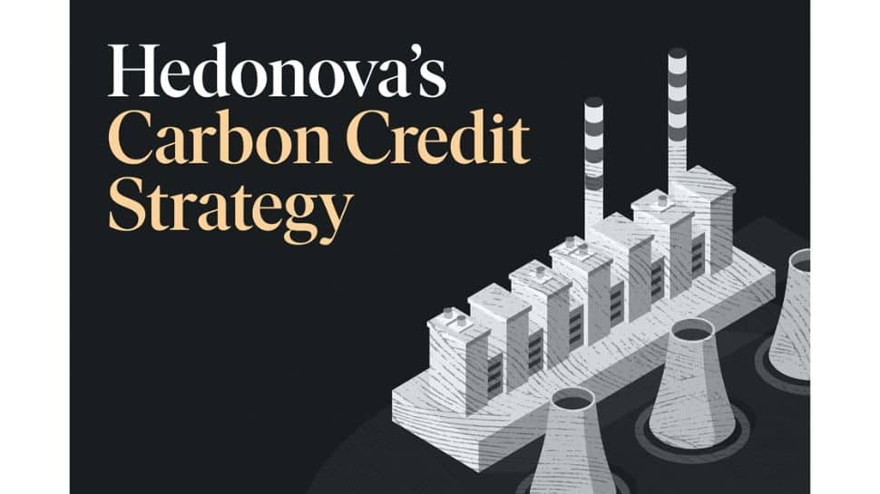 Should You Invest With Hedonova’s Carbon Credit Strategy: Performance Review 