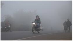 Dense Fog To Engulf Delhi, UP, Punjab; Fresh Spell Of Rain In Tamil Nadu