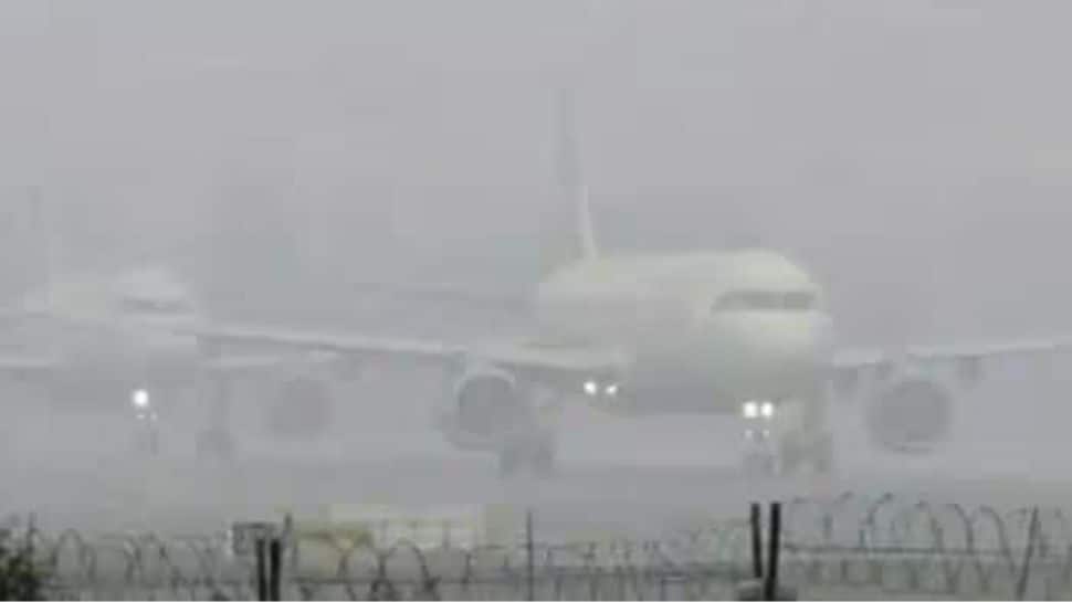 Thick Layer Of Fog Grips Delhi, Causes Delay Of Over 130 Flights And 20 Trains
