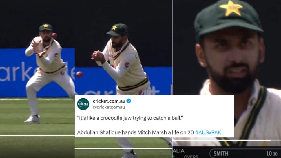 PAK vs AUS 2nd Test: Mark Waugh&#039;s Priceless Reaction To Pakistan&#039;s Abdullah Shafique Dropping Another Catch Goes Viral; Watch