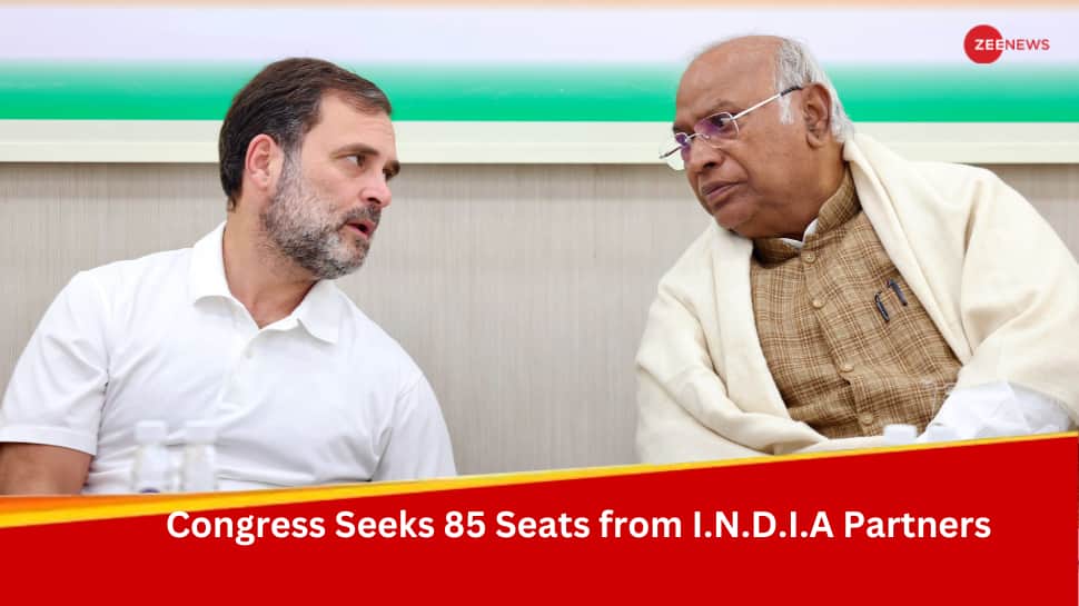 LS Polls 2024: Congress Wants To Contest On 290 Seats Independently, Sources
