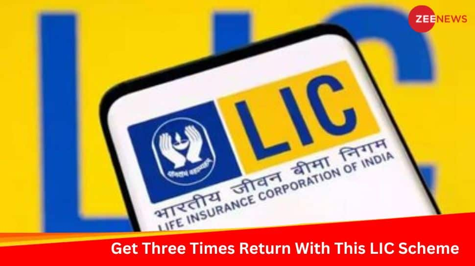 Invest Only Rs 110 Per Day; Get Three Times Return In 21 Years: Check Out Return Calculator