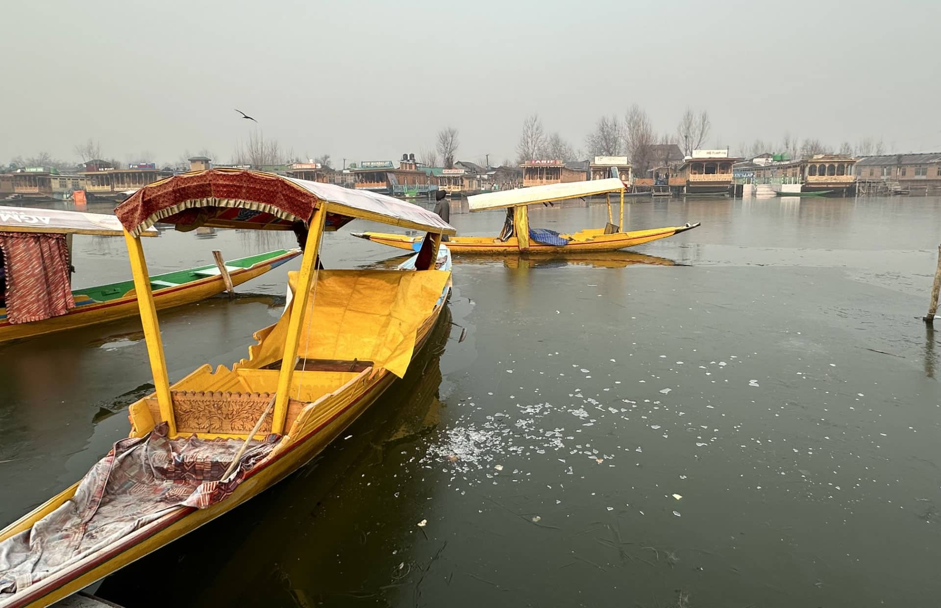 Srinagar&#039;s Famous Dal Lake Freezes As Severe Cold Conditions Continue In Kashmir