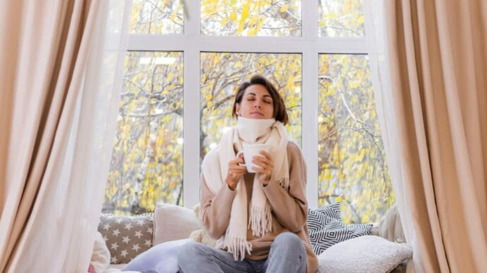 Cosy And Chic: 4 Smart Tips For Choosing Curtains And Blinds, Expert Shares Efficient Ways To Warm Up Your Home In Winters