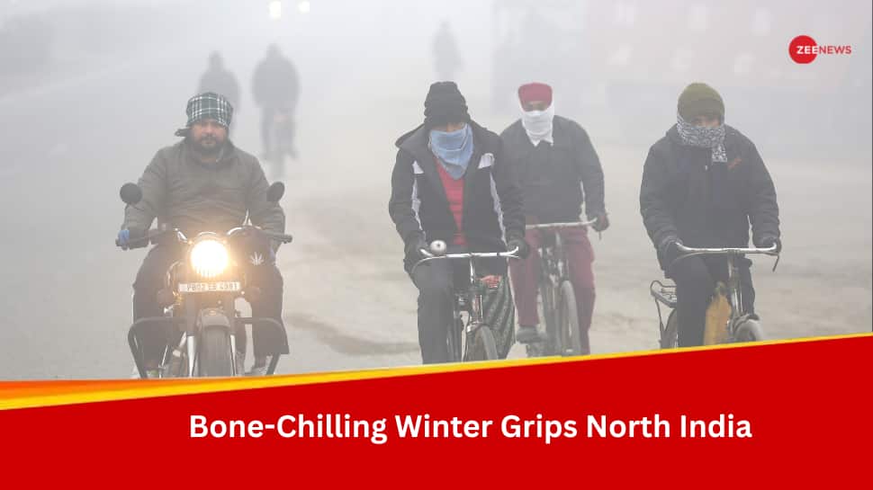 Weather Update: IMD Predicts Respite From Intese Cold As North India Reels Under Bone-Chilling Winter