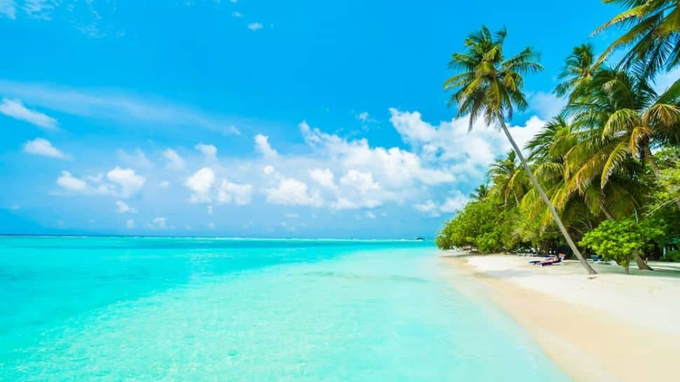 Lakshadweep Travel: How To Apply For Permits To Visit The Beautiful Islands - Key Steps, Fees