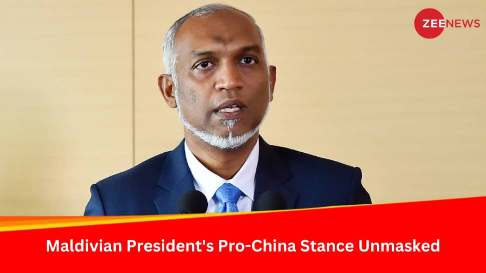 Au milieu du boycott des Indiens, le président des Maldives, Muizzu, courtise la Chine pour attirer davantage de touristes |  Nouvelles du monde