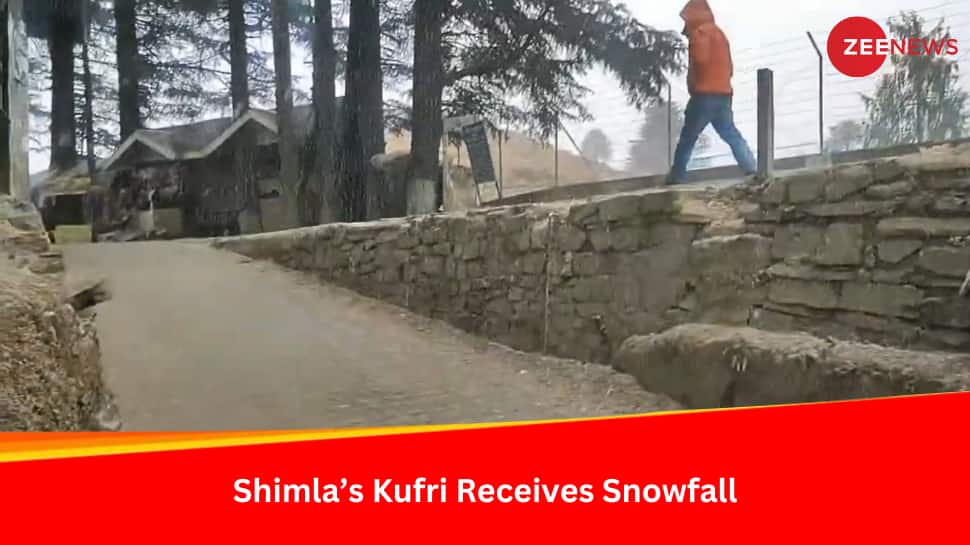 Shimla&#039;s Kufri Receives Much Awaited Snowfall Amid Prolonged Dry Spell - Watch