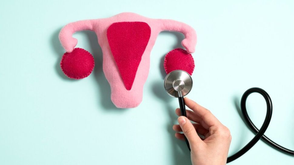 Cervical Cancer: All About Human Papillomavirus And Vaccination - Read Details Cervical Cancer: All About Human Papillomavirus And Vaccination - Read Details