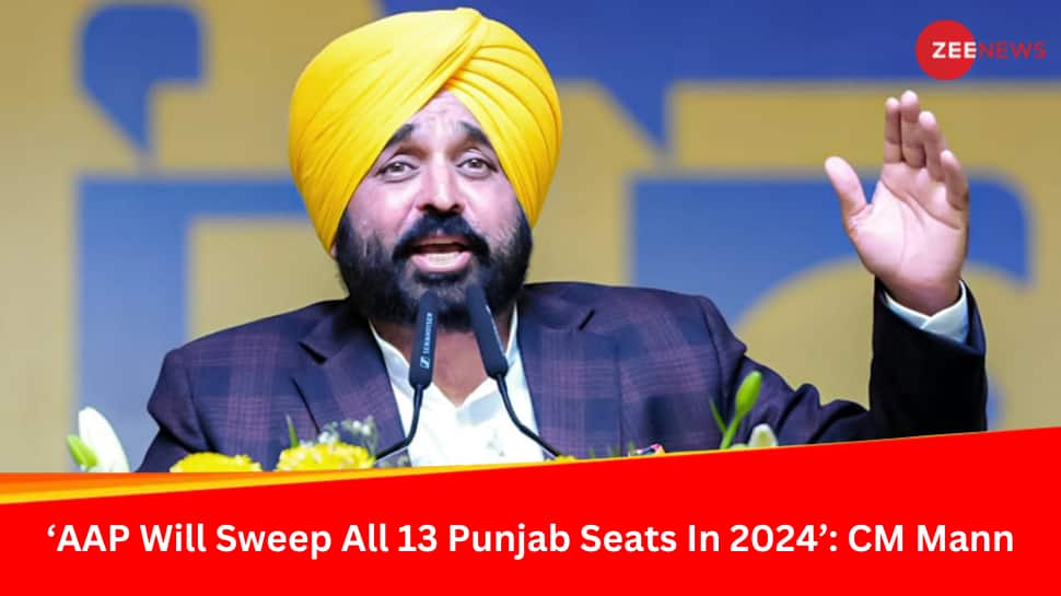&#039;AAP Will Sweep All 13 Seats In Punjab In 2024&#039;, Says CM Bhagwant Mann, Attacks Rivals