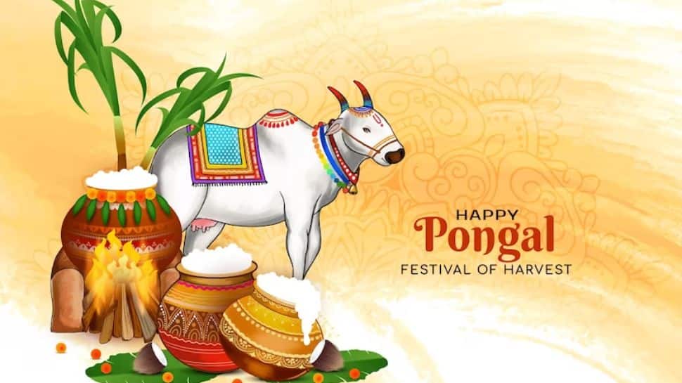 Pongal 2024 Dates, History, Significance Know All About The Special
