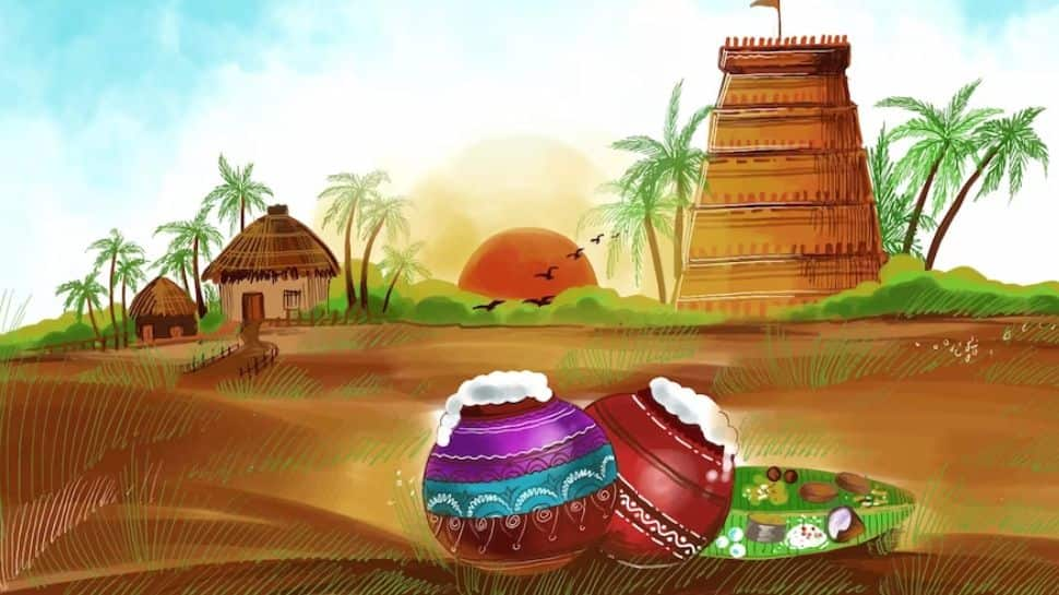 Pongal Harvest Festival PNG Transparent Images Free Download | Vector Files  | Pngtree