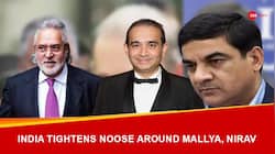 India Tightens Noose Around Mallya, Nirav; CBI-ED-NIA Team To Visit UK Soon