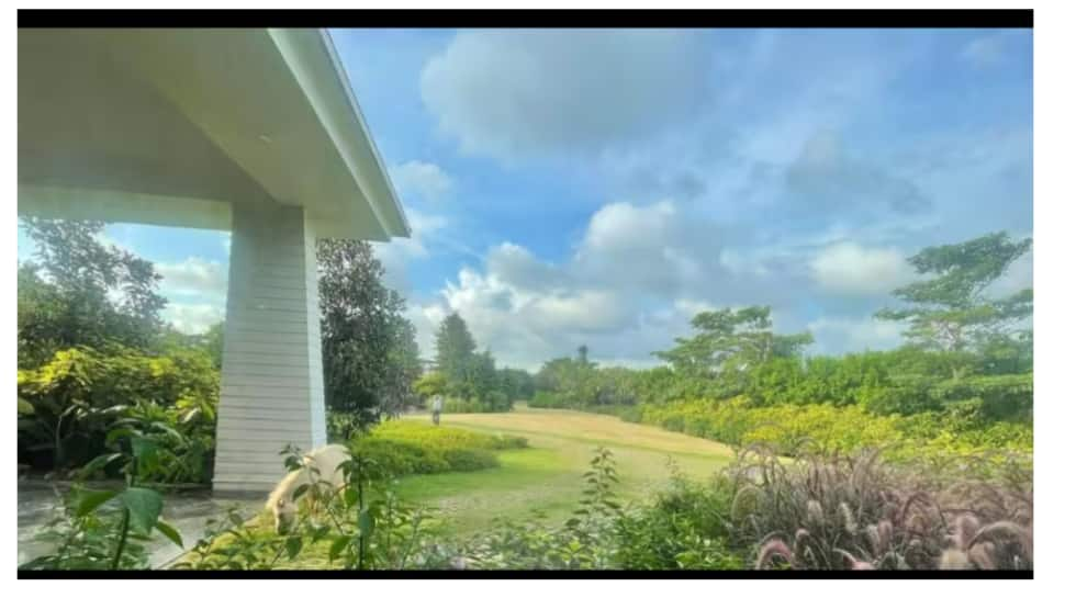 Dhoni's nature love reflected in house architecture 