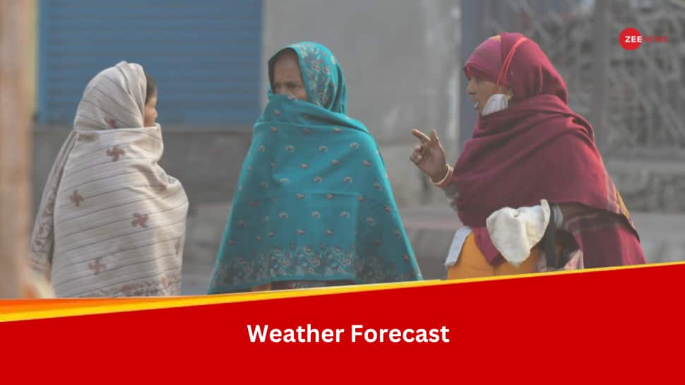 Weather Update: Red Alert For North India, IMD Predicts Cold Day, Dense Fog For Next 5 Days