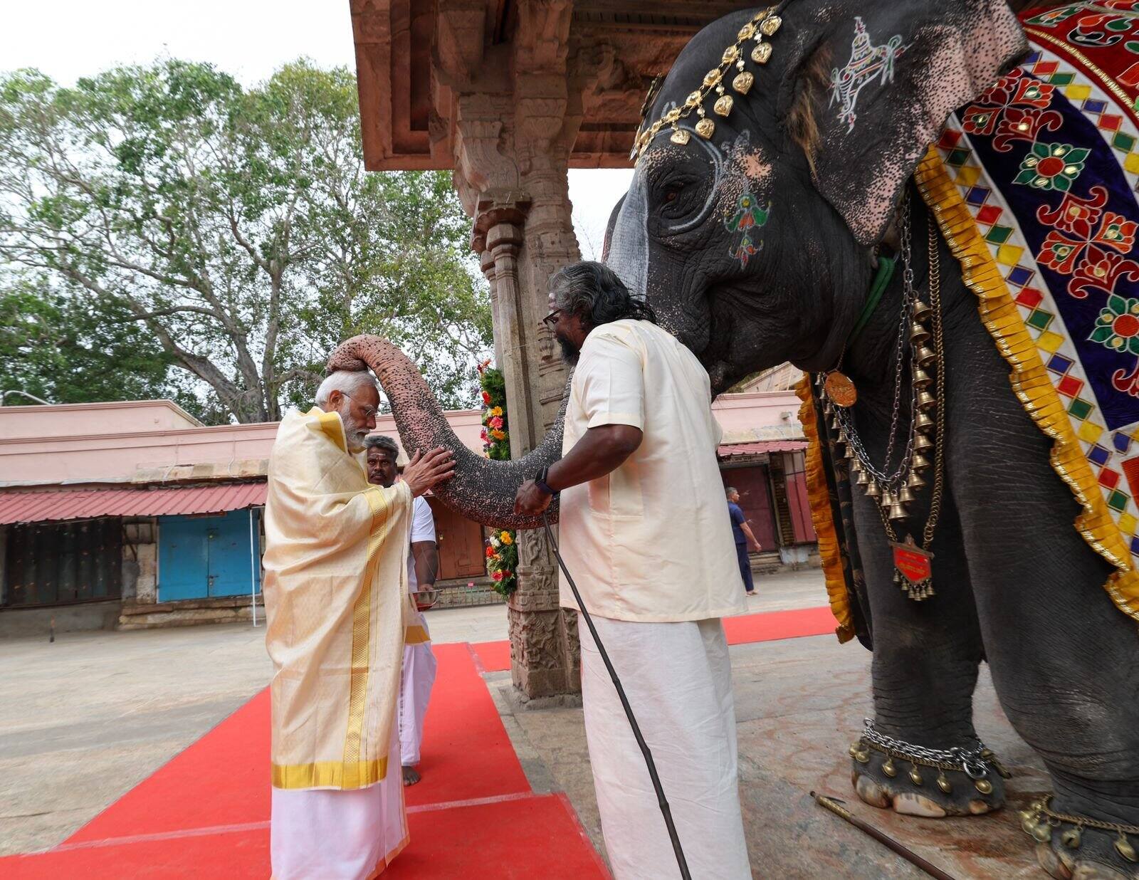 PM Meets Andal The Elephant