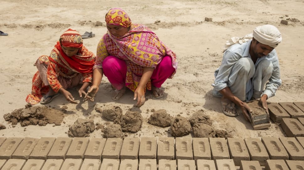 NEET Success Story: Meet Yamuna Chakradhari, Brick Kiln Worker Who Passed Exam While Working 6 Hours Per Day