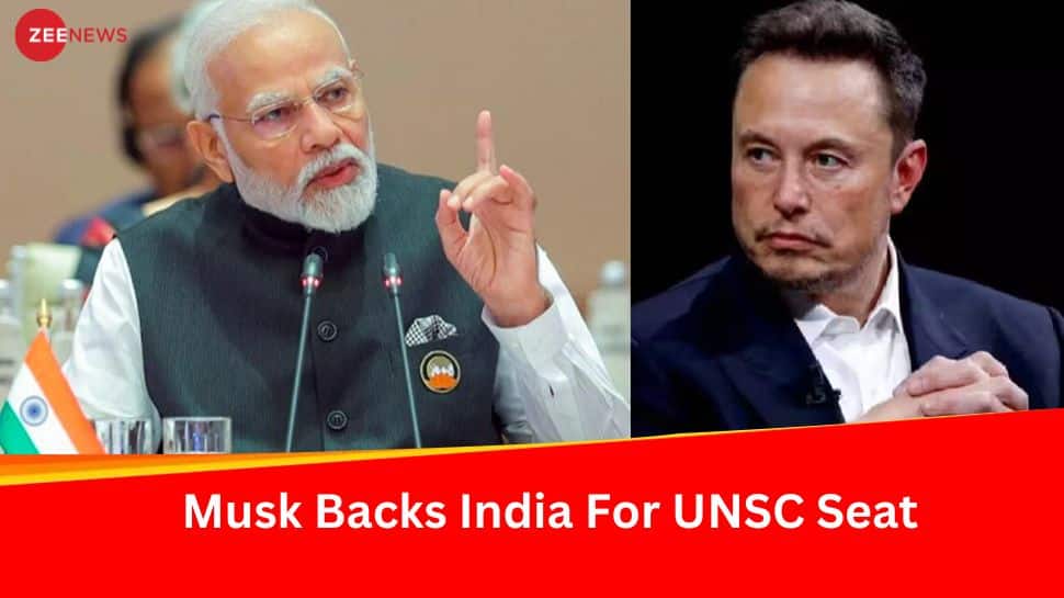 Elon Musk Terms India Not Having Permanent Seat In UNSC As &#039;Absurd&#039;