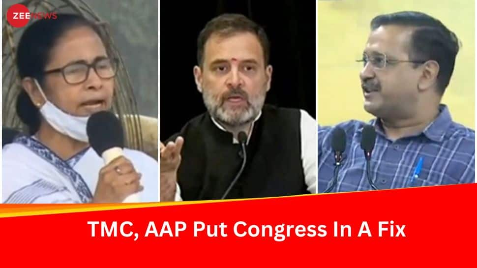 Beginning Of Disintegration Of INDIA Bloc? AAP, TMC Decide To Go Solo; Congress Sends Peace Message