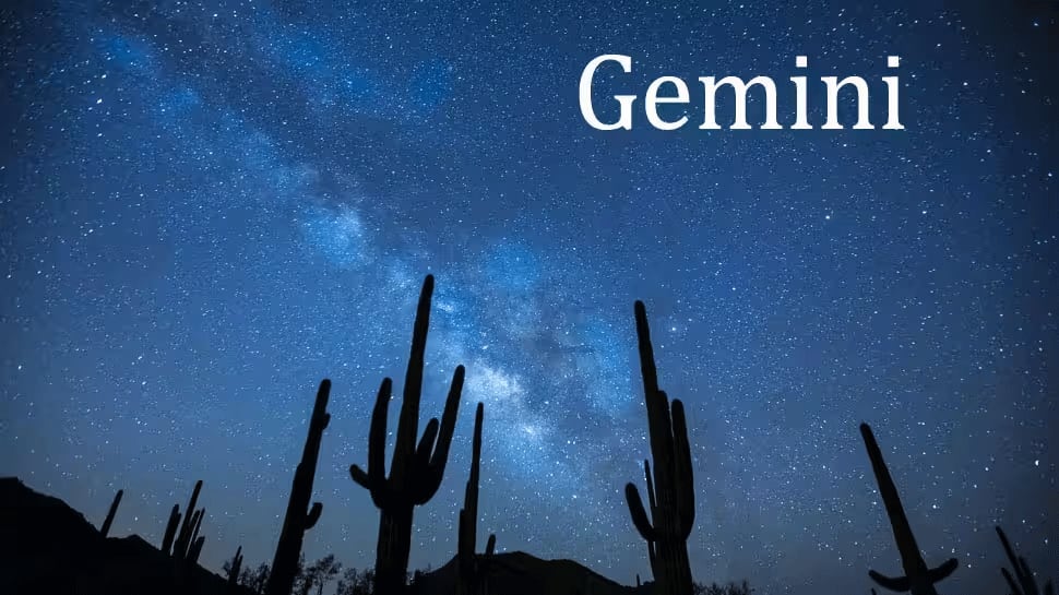 Gemini Gemini