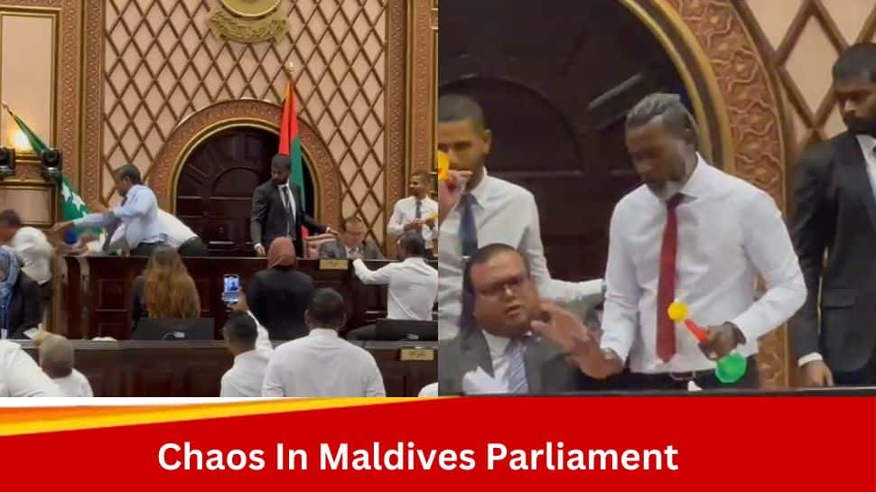 Une bagarre parlementaire éclate aux Maldives suite à l’approbation du Cabinet, la vidéo devient virale |  Nouvelles du monde