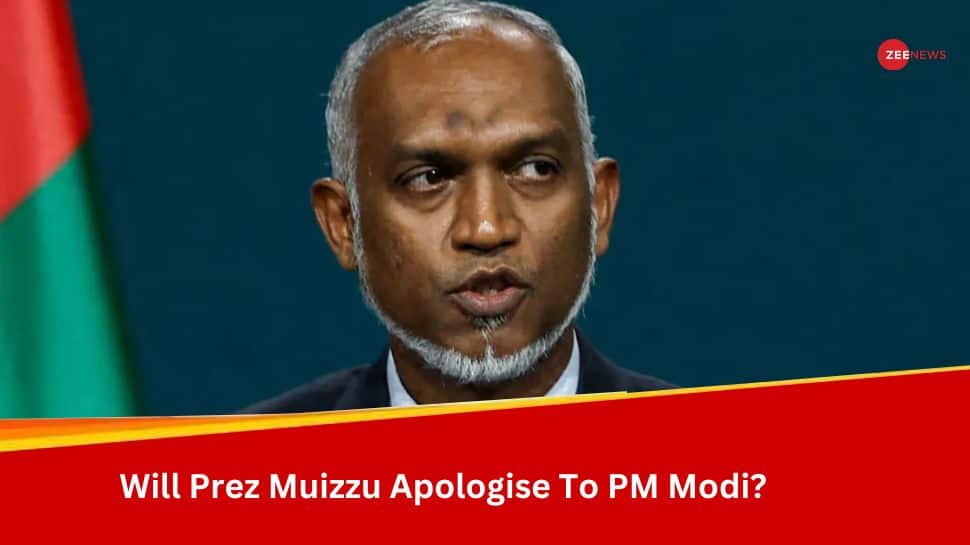 &#039;Apologise To PM Modi, People Of India&#039;: Maldives Opposition Leader To President Mohamed Muizzu