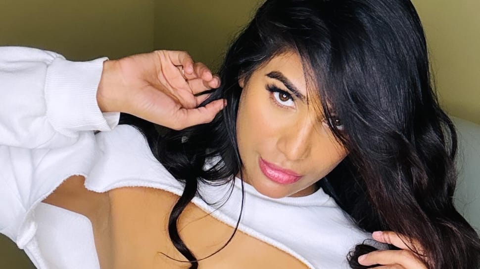 Poonam Pandey: Born In Kanpur, Moved To Mumbai At 21- How UP's Small Town Girl Created Ripples Through Her Bold Acts Poonam Pandey: Born In Kanpur, Moved To Mumbai At 21- How UP's Small Town Girl Created Ripples Through Her Bold Acts