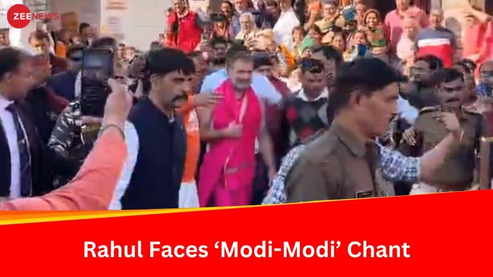 Watch: Rahul Gandhi Visits Baidyanath Dham In Deoghar Amid Modi-Modi Chant