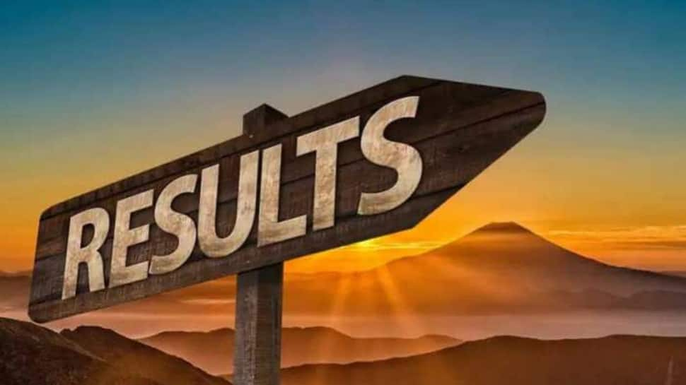 HSSC CET Group C Result 2024 Released At hssc.gov.in- Check Direct Link, Steps To Download Here