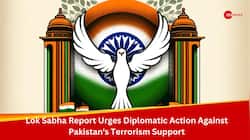 Lok Sabha Report Urges Diplomatic Action Against Pakistan's Terrorism Support